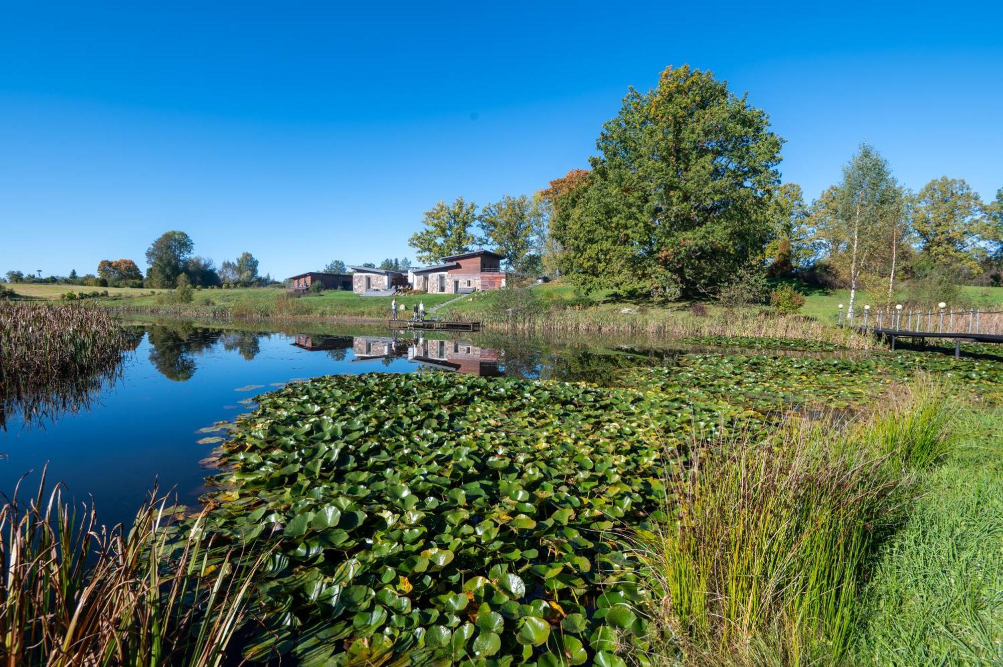 Dabas Majas - Your Dream Spot